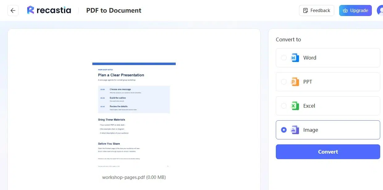 Recastia PDF Converter showing the workshop PDF with Image selected as the output format