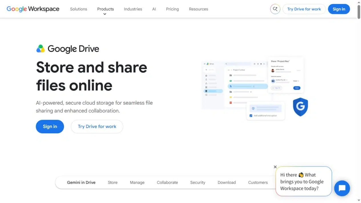 Google Drive file sharing permissions for online documents